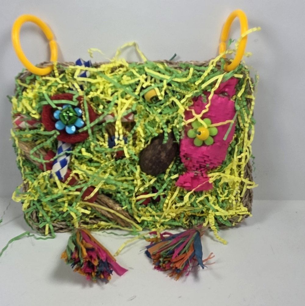 Colorful Bird Toy with Tassels and Rings